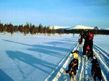 Nordeuropa, Finnland, Finnisch Lappland: Sommerreise - Austoben und ausruhen - Mit dem Hundeschlitten durch das verschneite Finnland